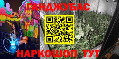 МДПВ Новоалтайск
